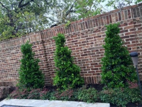 Кирпичный забор сплошной 12 метров фото в Лабинске